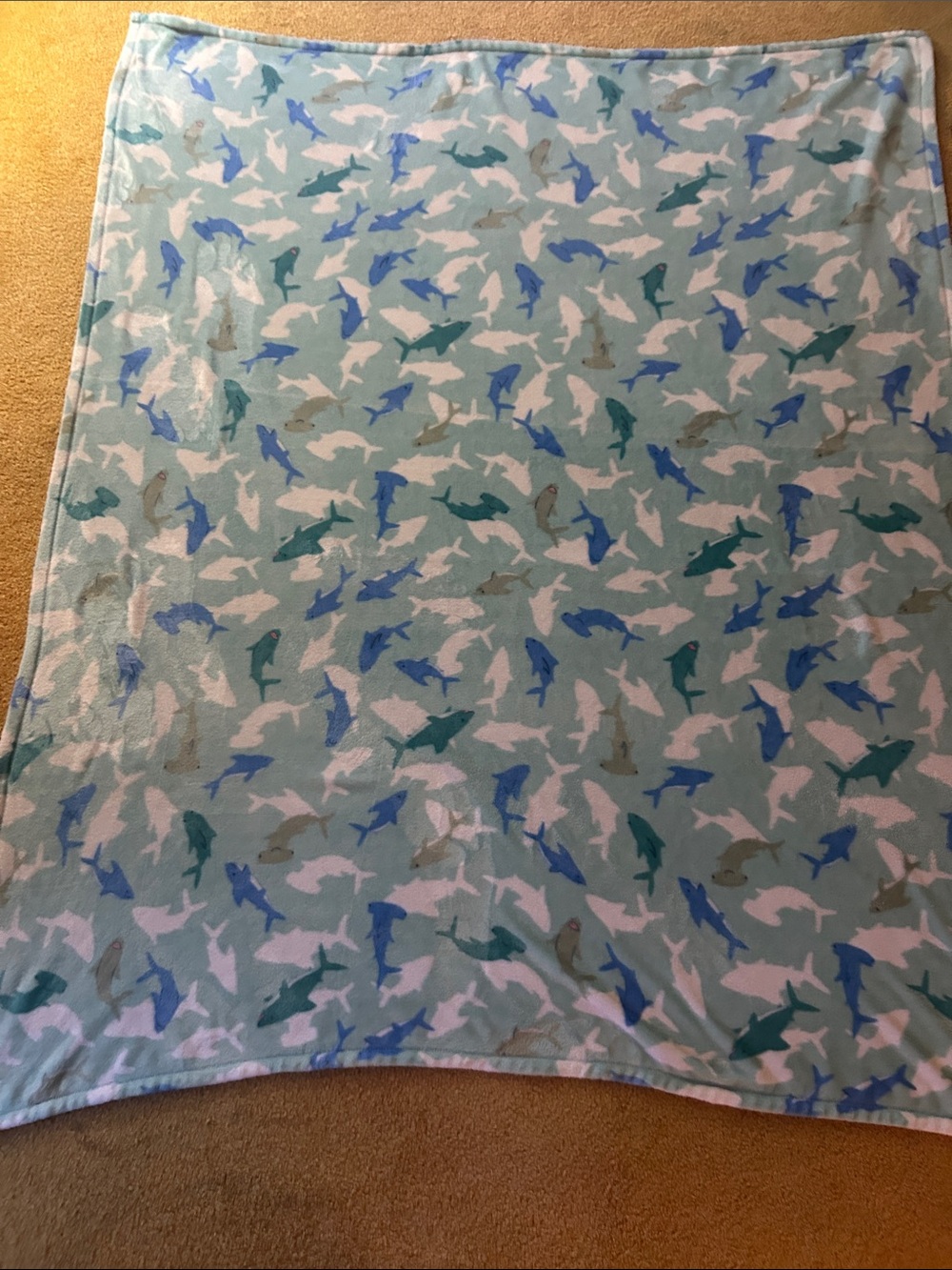 Coastal Shark Print Blanket in Aqua